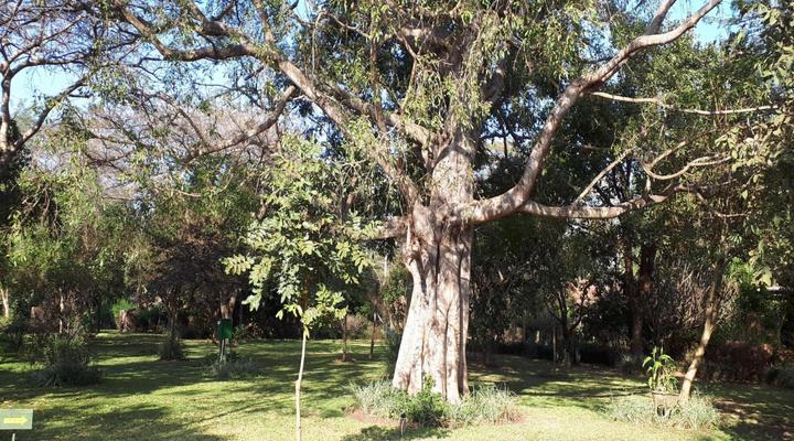 Barefoot Lodge and Safaris - Malawi