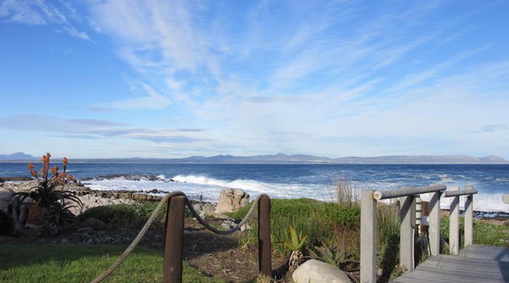 Hermanus Whale View