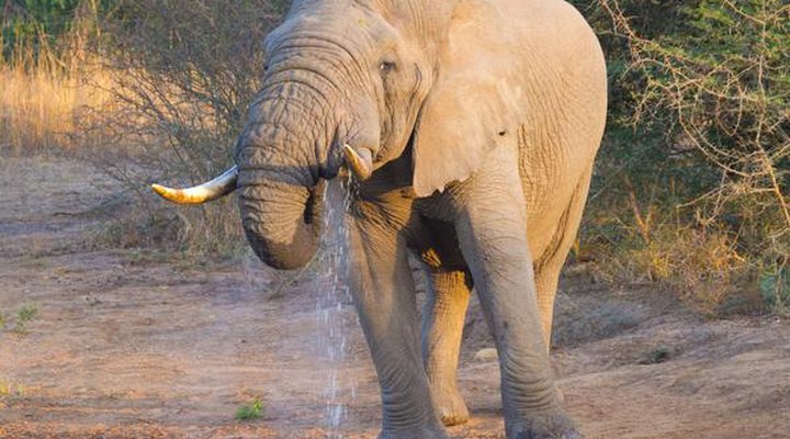 Sungulwane Private Game Lodge