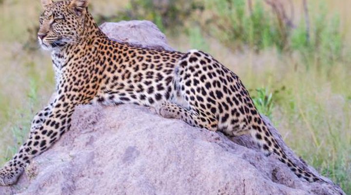 Sungulwane Private Game Lodge