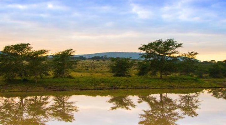 Sungulwane Private Game Lodge