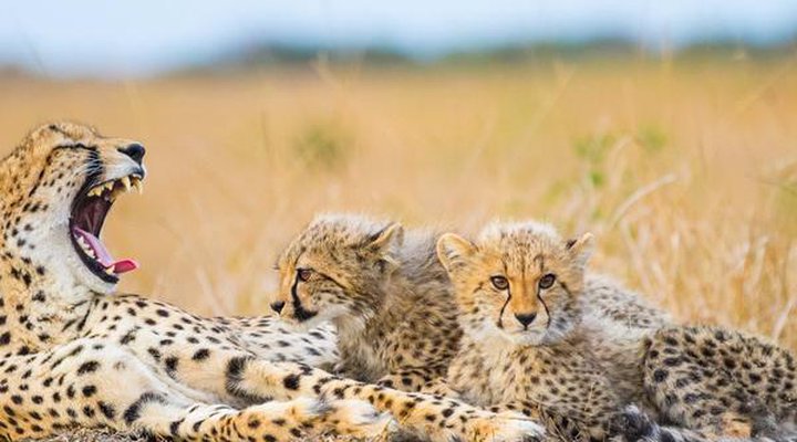 Sungulwane Private Game Lodge