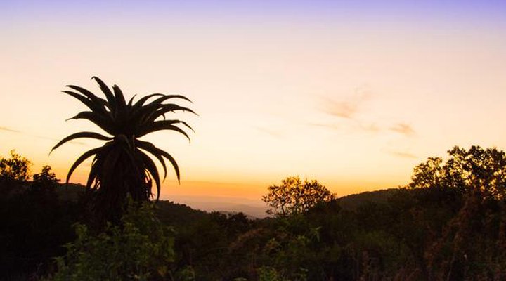 Sungulwane Private Game Lodge