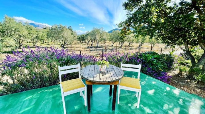 The Blue Cow Barn - Boutique Farm Accommodation 