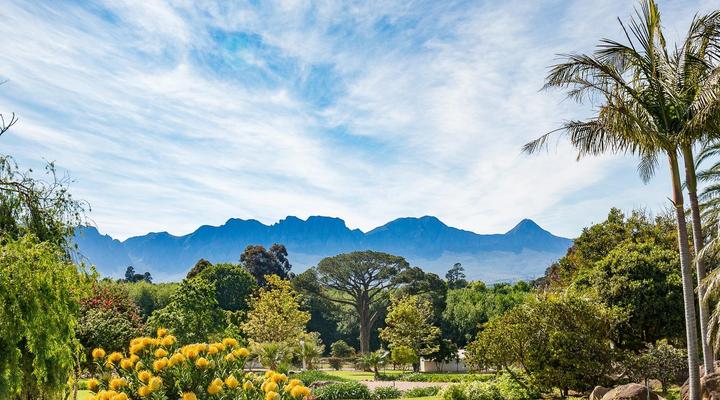 La Felicita Boutique Villas & Apartments