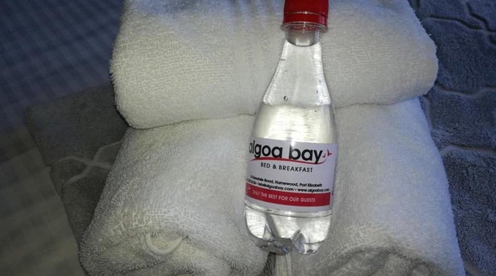 Algoa Bay Bed and Breakfast