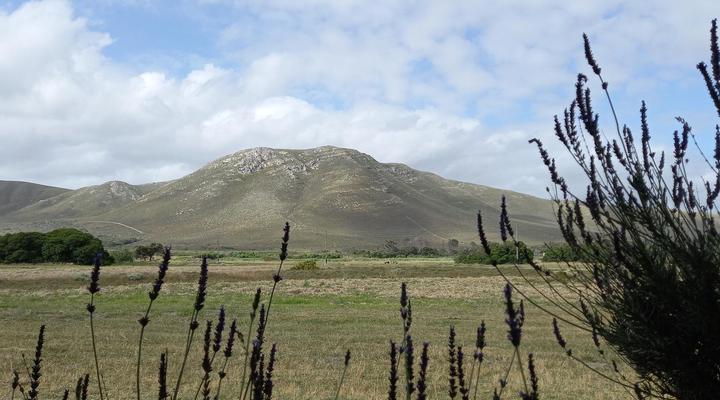 Klein Paradijs Country Retreat