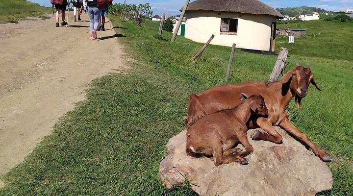 Wild Coast Homestays