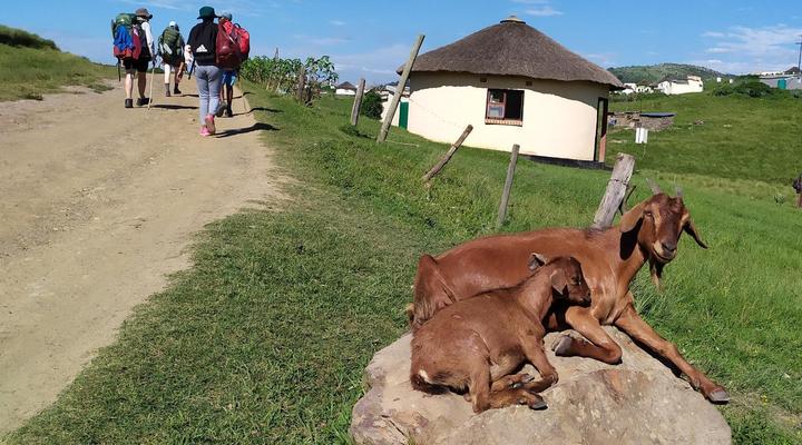 Wild Coast Homestays