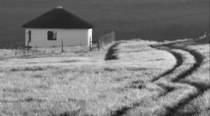 Wild Coast Homestays