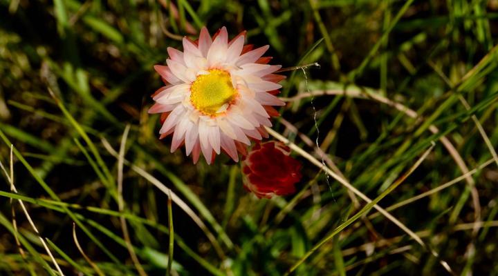 Wild Coast Homestays