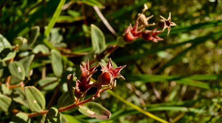 Wild Coast Homestays