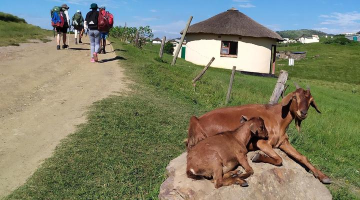 Wild Coast Homestays