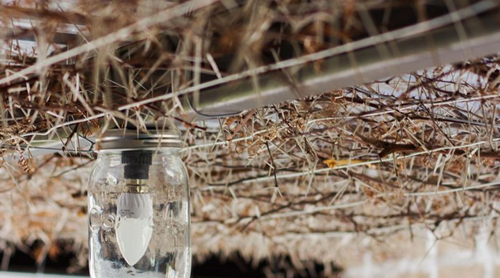 Schoemanshoek Glamping