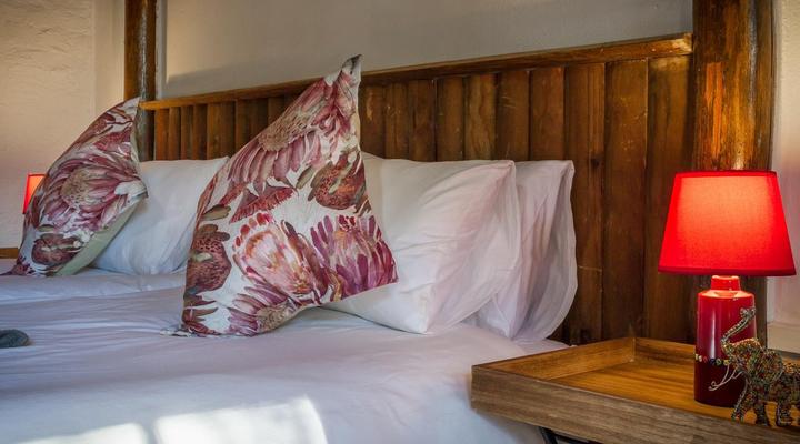 Wild Ride Safaris and Bush Camp