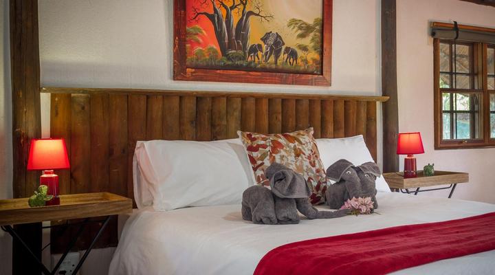 Wild Ride Safaris and Bush Camp