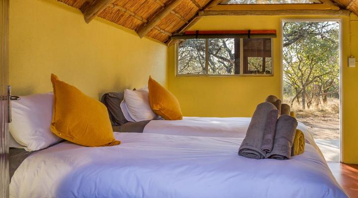 Wild Ride Safaris and Bush Camp