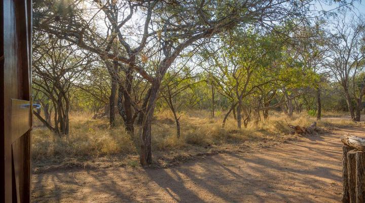Wild Ride Safaris and Bush Camp