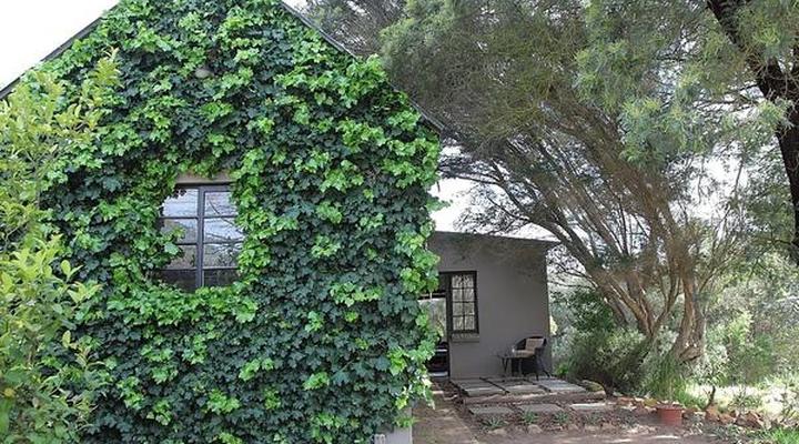 Porcupine Hills Guest Farm