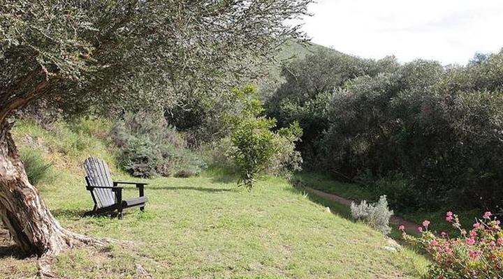 Porcupine Hills Guest Farm