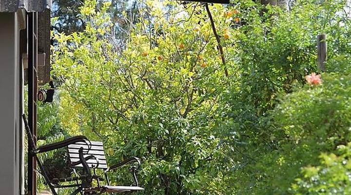 Porcupine Hills Guest Farm