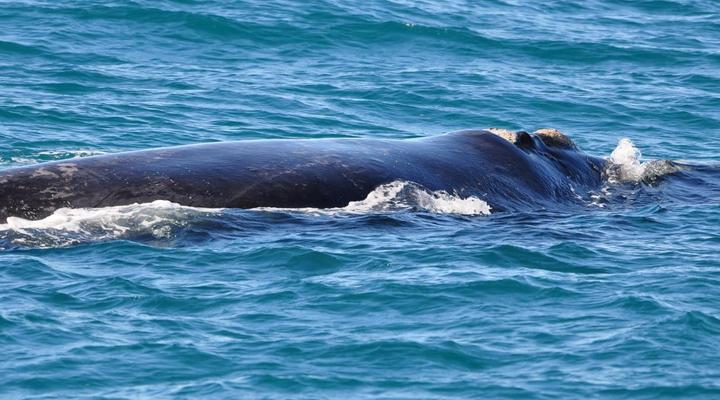 Zeezicht Guest House