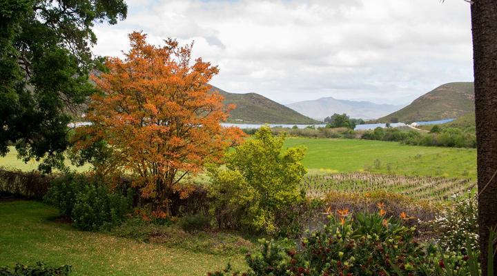 Galloway Guest House