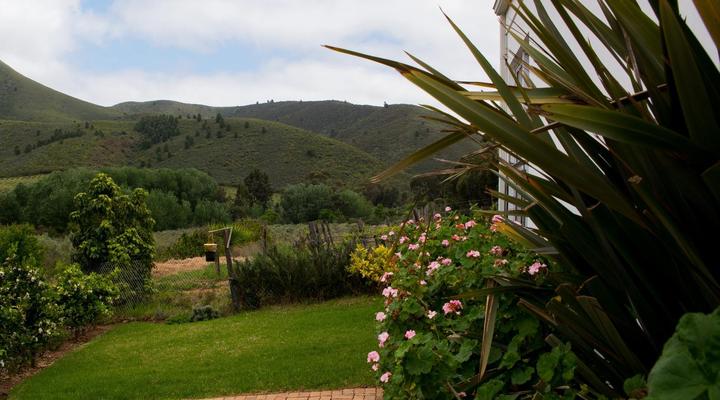 Galloway Guest House