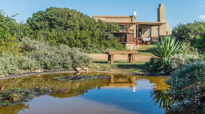 Sandpiper Guest Cottages