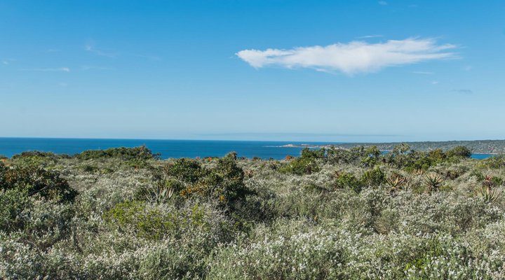 Sandpiper Guest Cottages