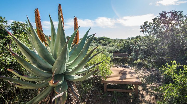Sandpiper Guest Cottages