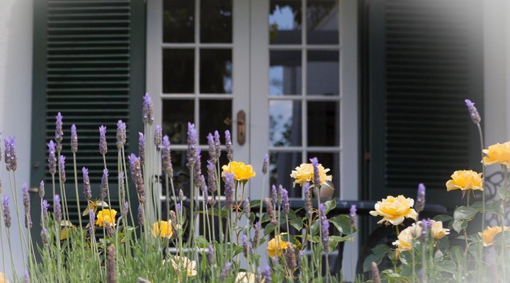 Sanddrif Guest Farm - Dup