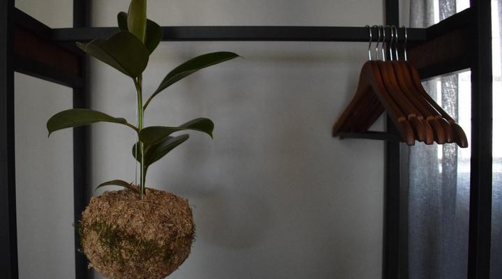 Nooitgedacht Town Lodge