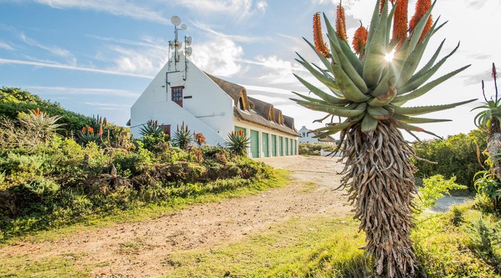 Sandpiper Guest Cottages