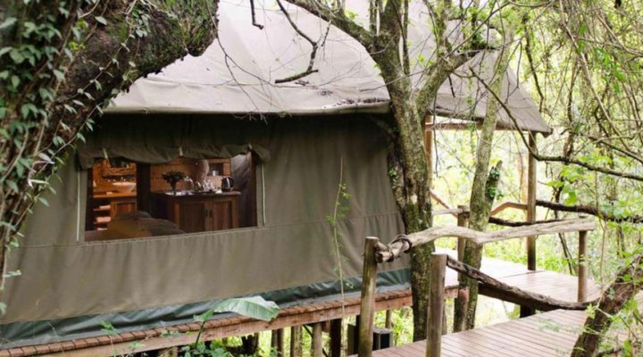 Summerfields Rose Retreat and Spa