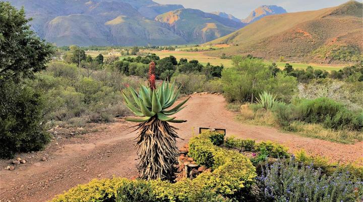 Oaksrest Vineyards Guest Farm