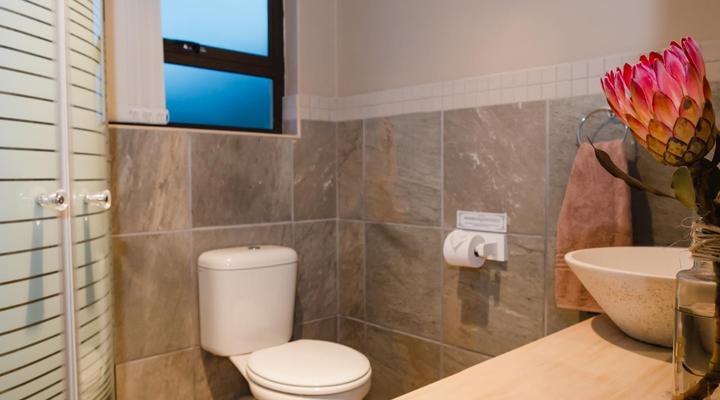 Hakuna Matata Game Farm