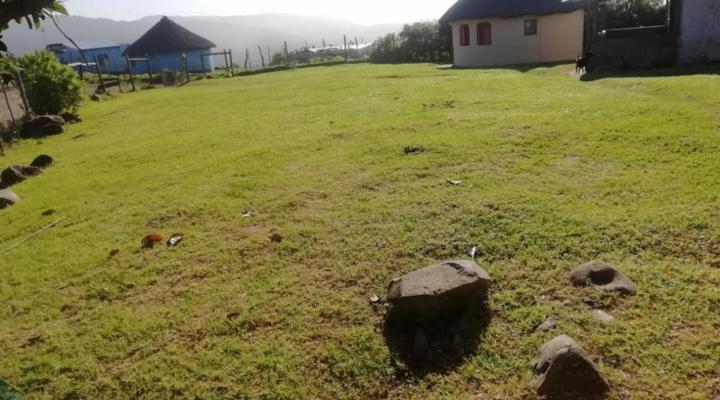 Wild Coast Homestays