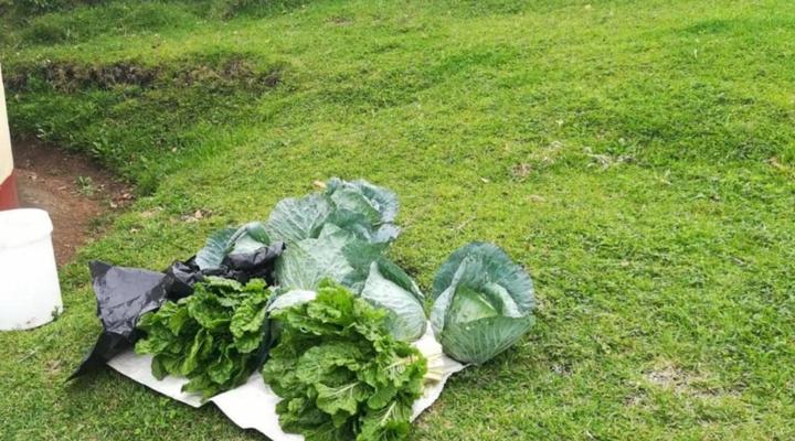 Wild Coast Homestays