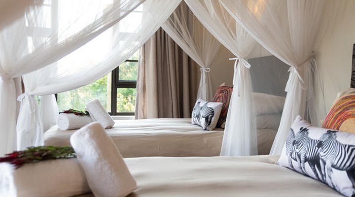 Rooibos Bush Lodge