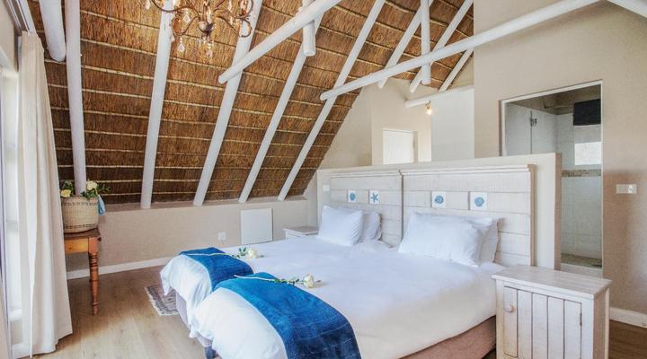 Cape St Francis Collection