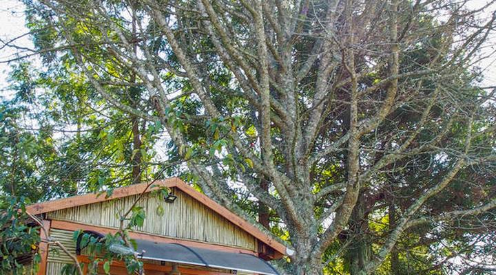 Sage Valley Farm Cottages