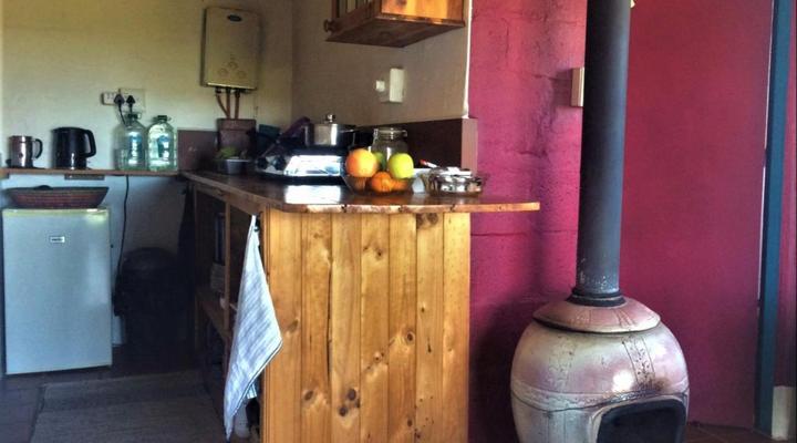 Peace of Eden ~ Vegan Forest Escape