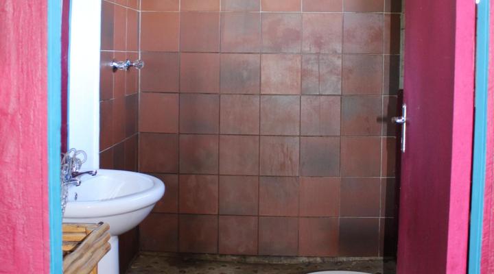 Peace of Eden ~ Vegan Forest Escape