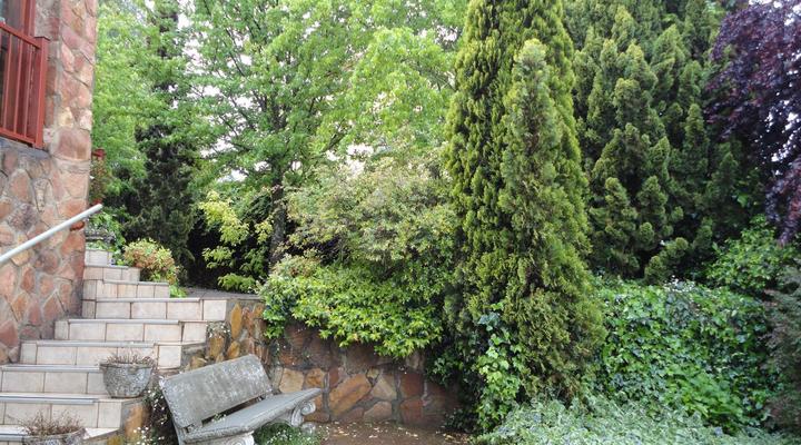 Fox Hill Guest House