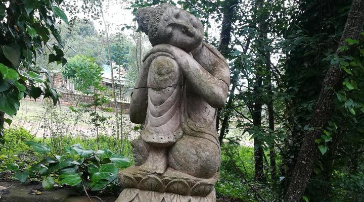 Fox Hill Guest House