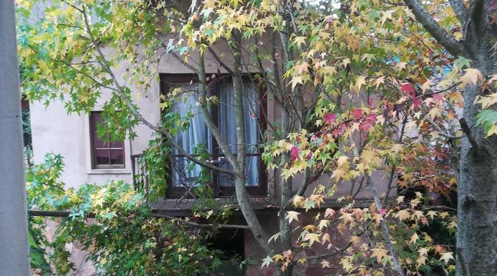 Fox Hill Guest House