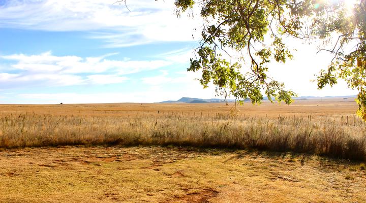 Rondefontein Guest Farm