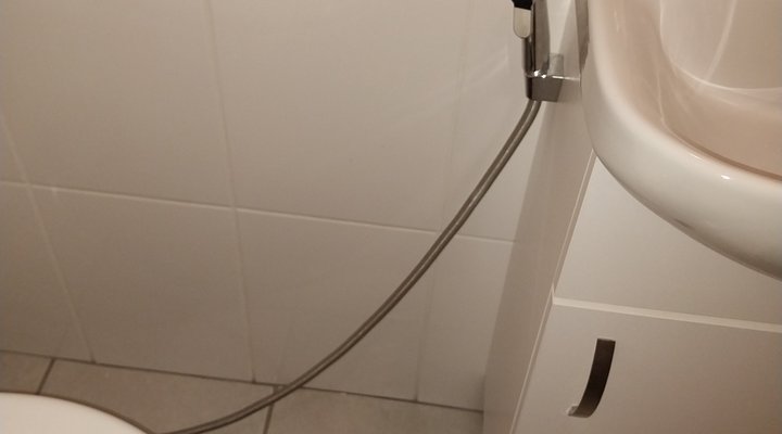 African Elephant's Den