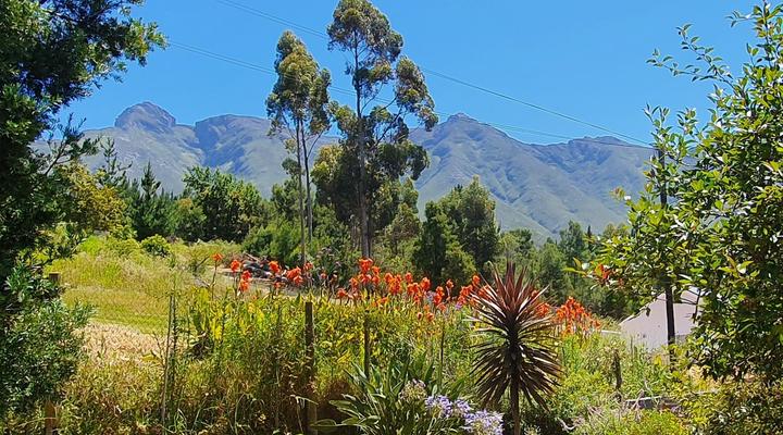 De Kloof Luxury Estate hotel & SPA